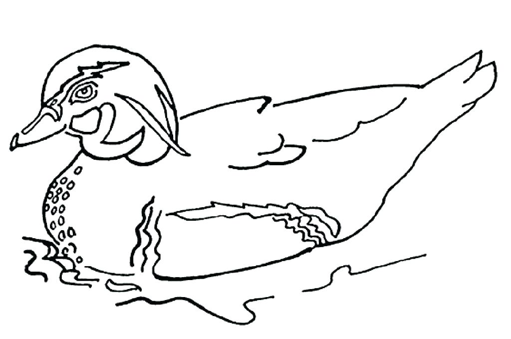 1024x679 Duckling Coloring Page Coloring Pages Duck How To Draw Baby Duck