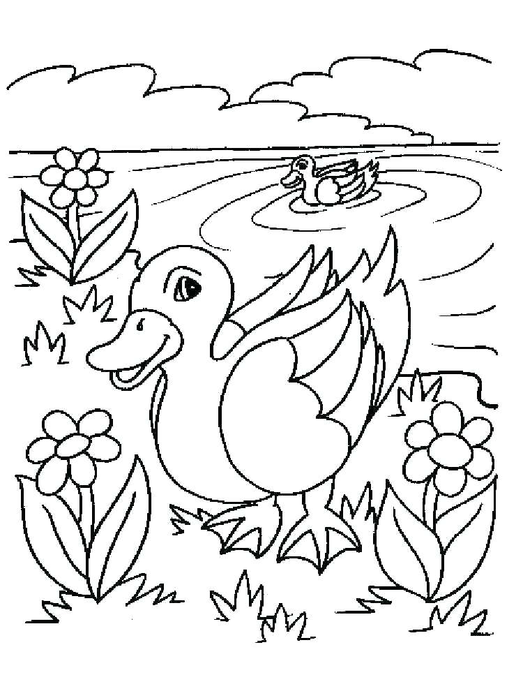 750x1000 Duckling Coloring Pages Duckling Coloring Page Wood Duck Duckling