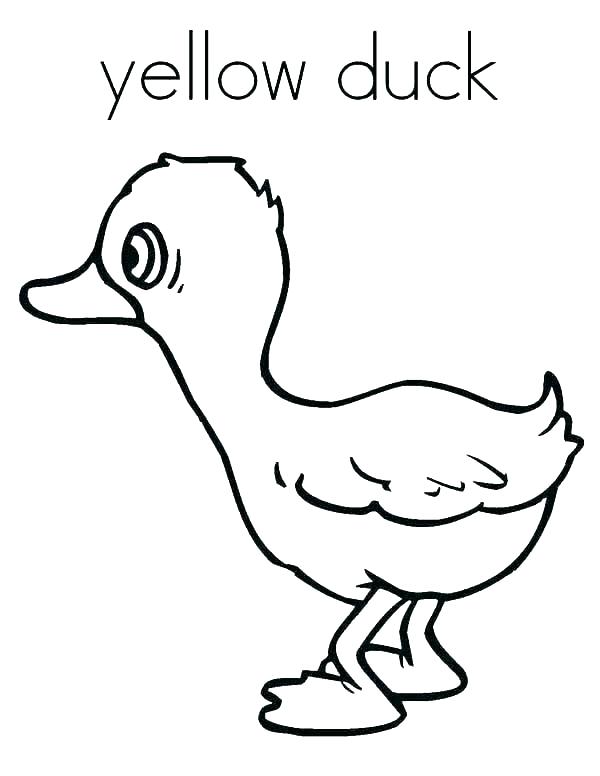 600x776 Ducks Coloring Page