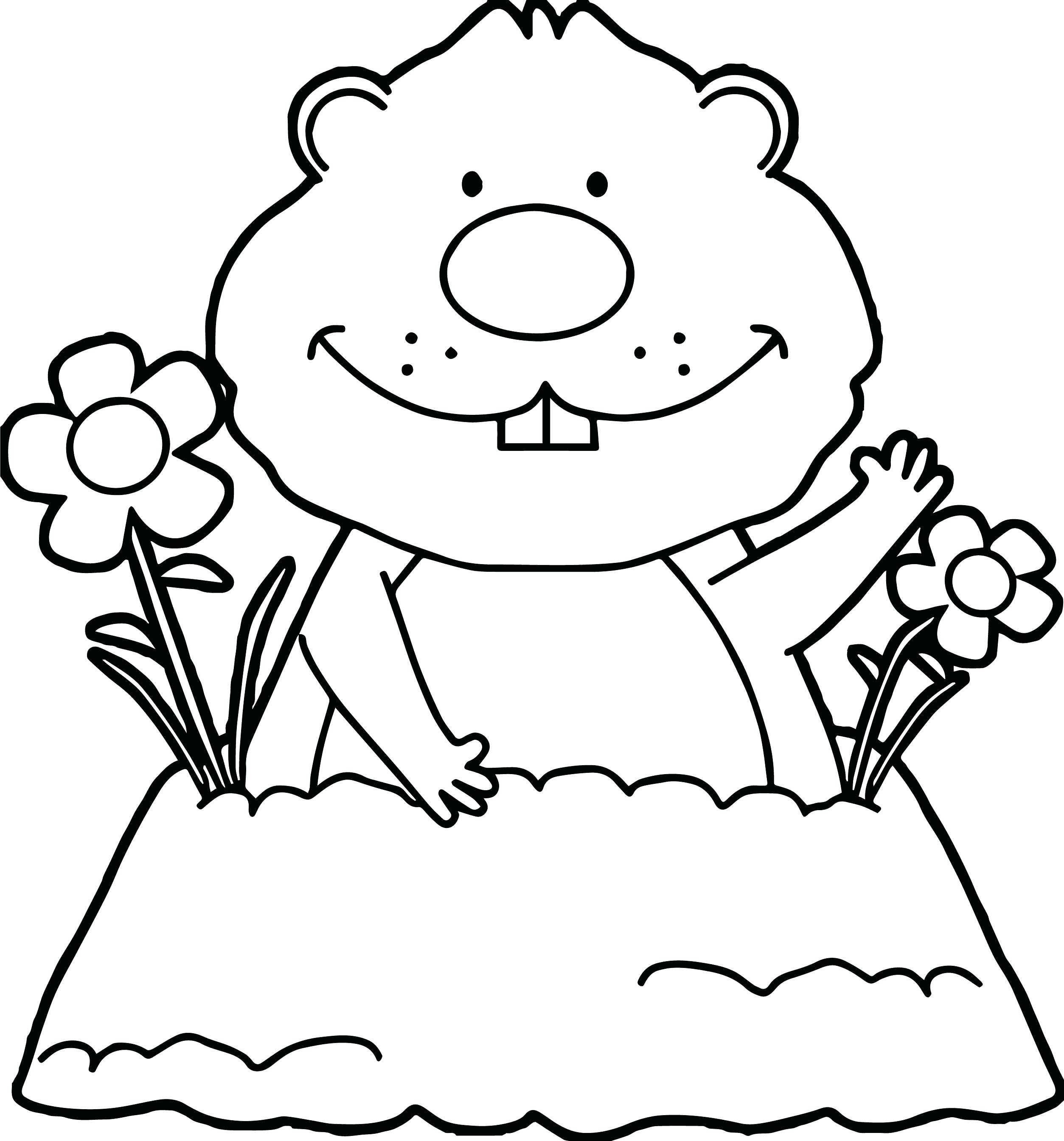 2507x2690 Coloring Pages Of Groundhog Day New Page Peeking