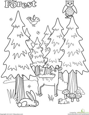 301x389 Forest Coloring Page Worksheets, Pre School And Animal
