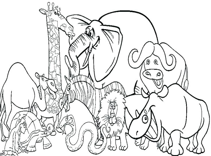 736x544 Woodland Animals Coloring Pages Badger Animal Coloring Pages