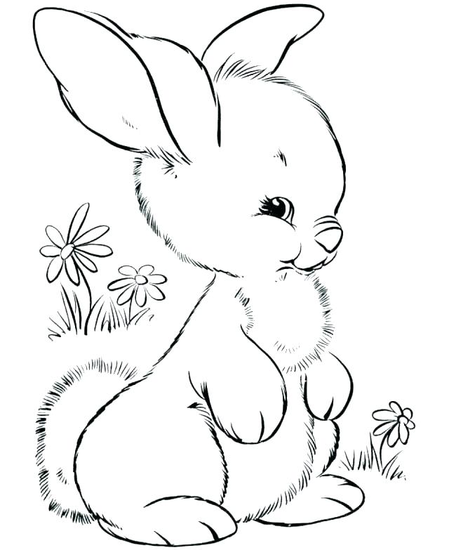 640x783 Woodland Animal Coloring Pages