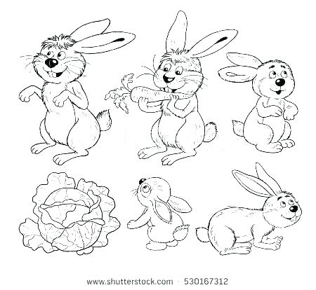 450x414 Cute Baby Animal Coloring Pages Cute Baby Animal Coloring Pages