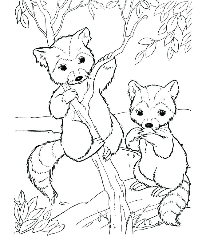 670x820 Forest Animal Coloring Pages Woodland Animals Coloring Pages