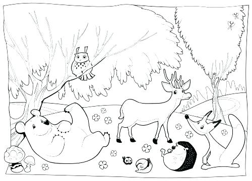500x360 Forest Coloring Pages Woodland Animals Coloring Pages Forest