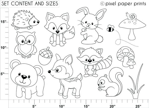 600x435 Woodland Animals Coloring Pages Woodland Animals Coloring Pages