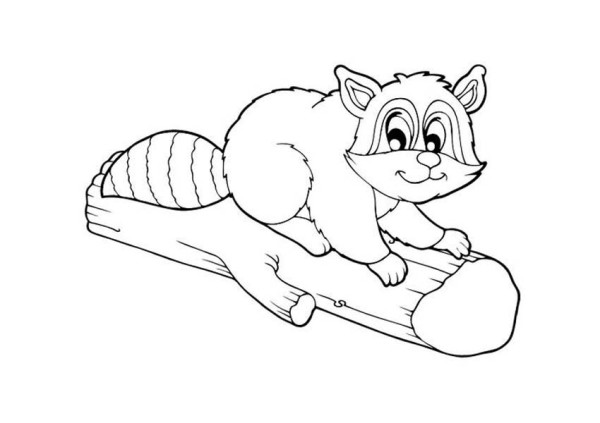 600x423 Raccoon On Piece Of Wood Coloring Page