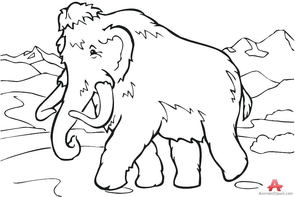 999x668 Mammoth Coloring Page For Kids Free Printable Picture This