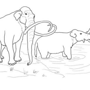 Woolly Mammoth Coloring Pages at GetDrawings | Free download