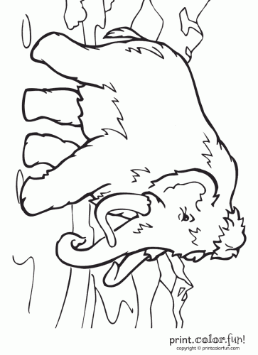 363x500 Wooly Mammoth Coloring Page