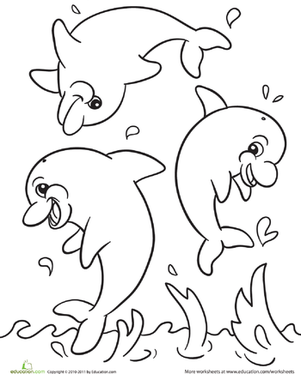 301x374 Dolphins Worksheet