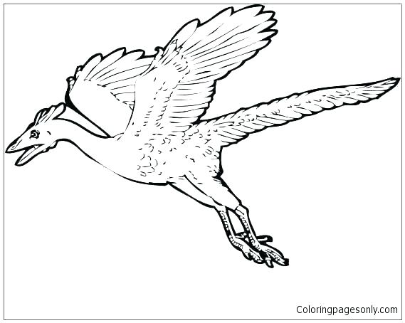 569x454 World War Planes Coloring Pages