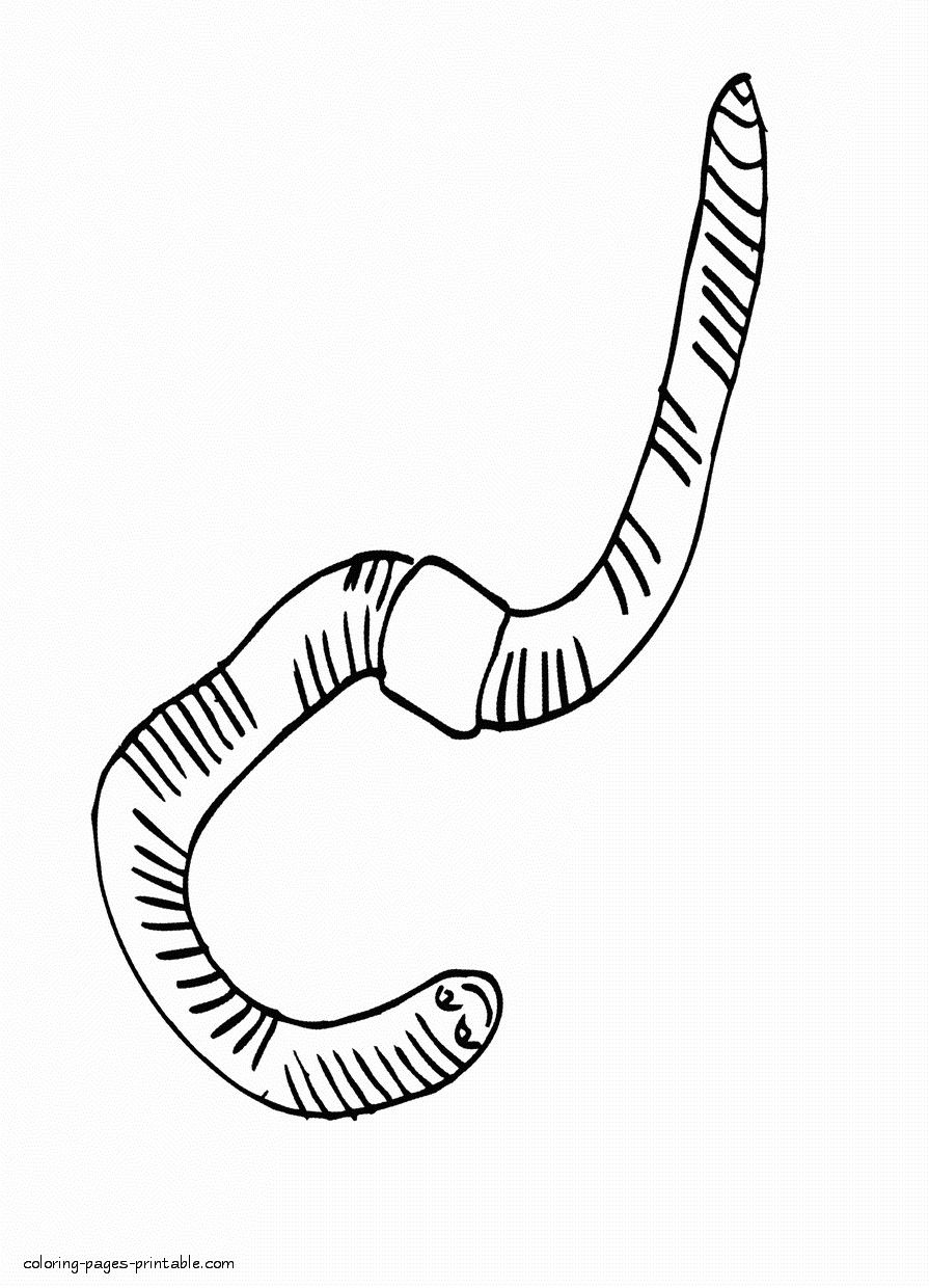 895x1240 Coloring Pages Of The Earth To Print Best Of Earth Worm Coloring