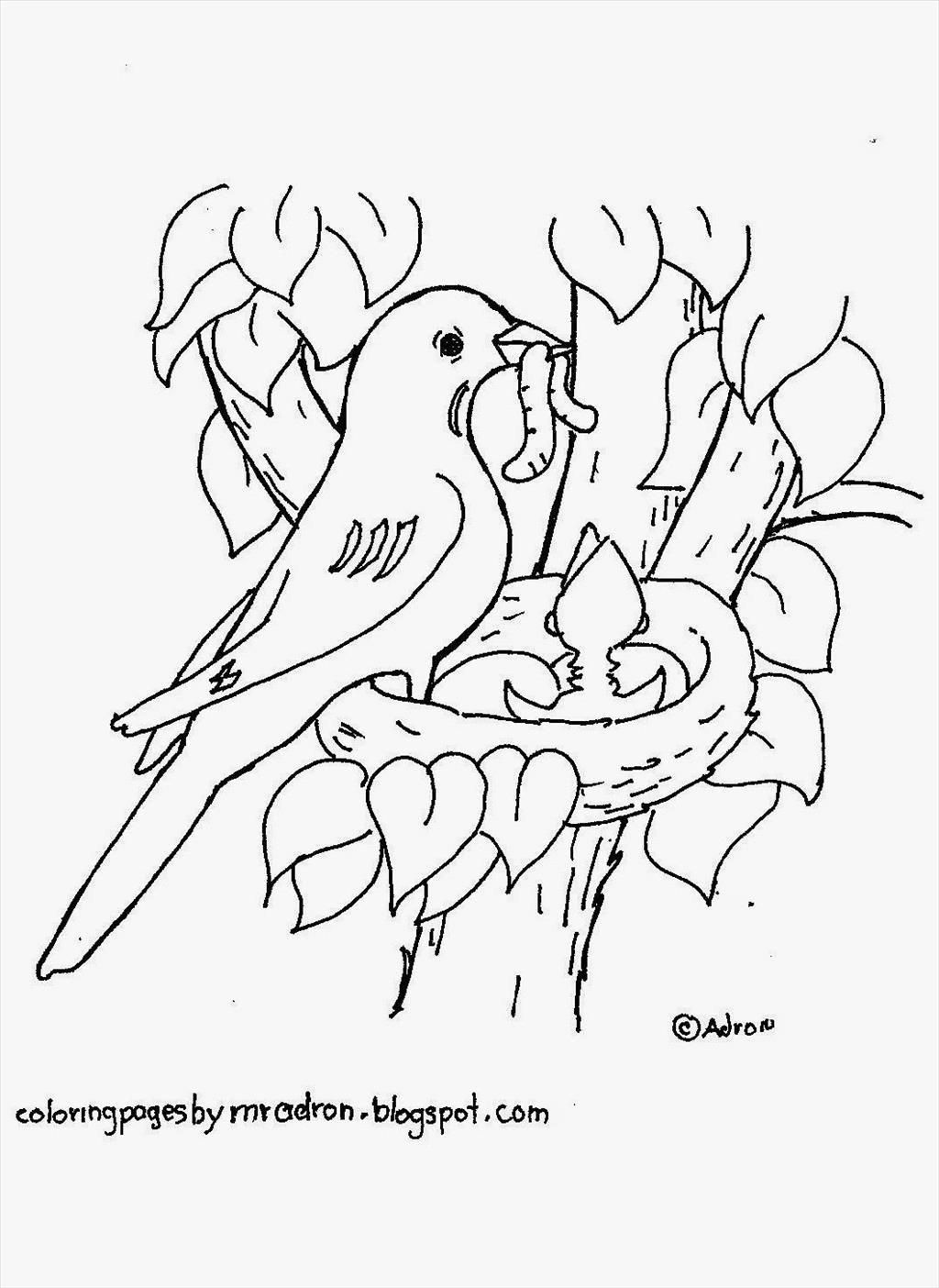 1024x1404 Download Bird Nest Coloring Page Wren Build A Gif Adult