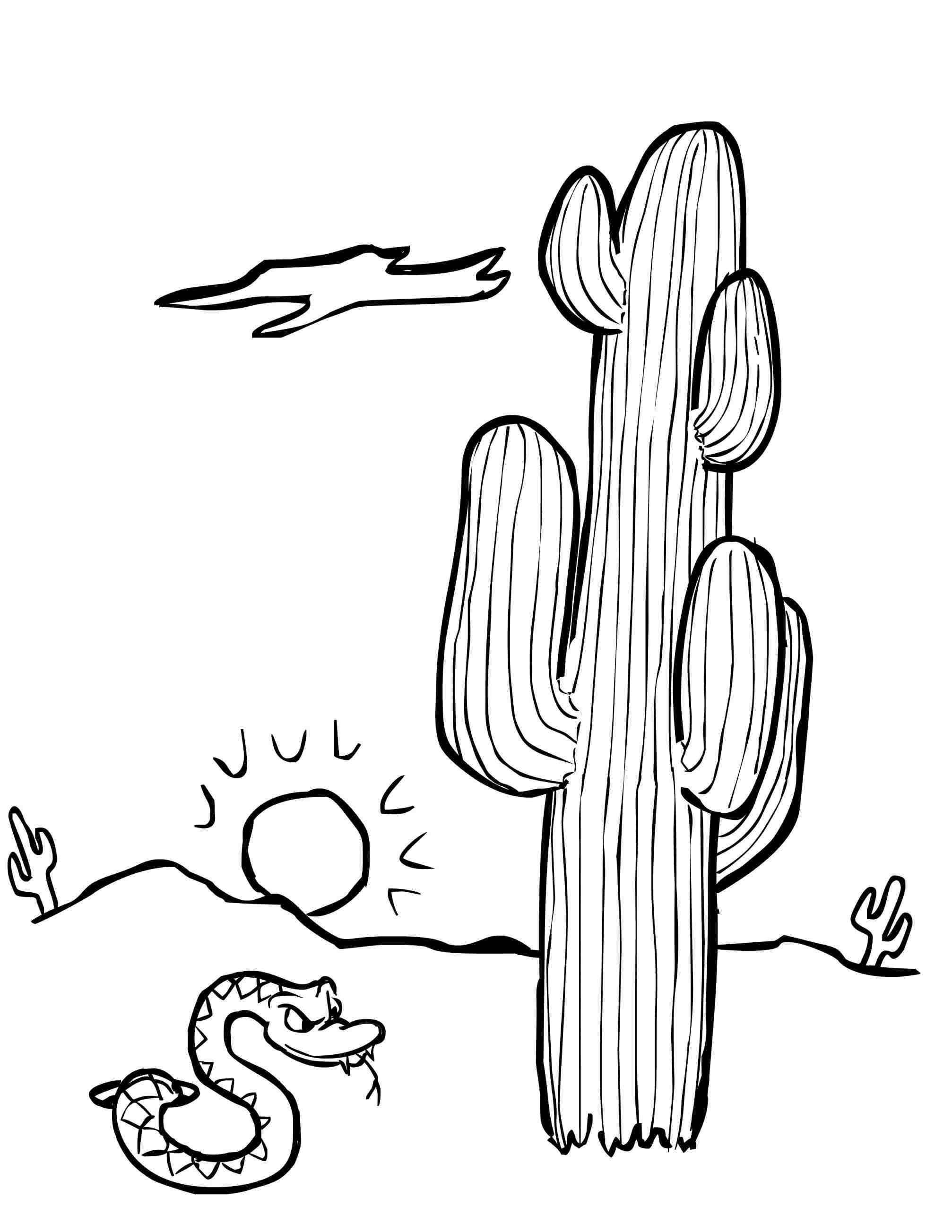2014x2607 Outstanding Cactus Wren Coloring Page Sketch