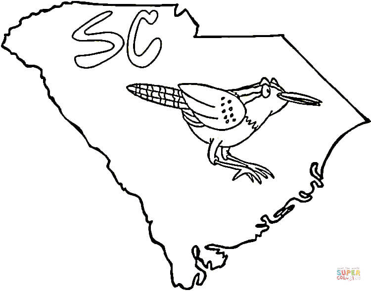 750x589 South Carolina Coloring Pages Carolina Wren Coloring Page