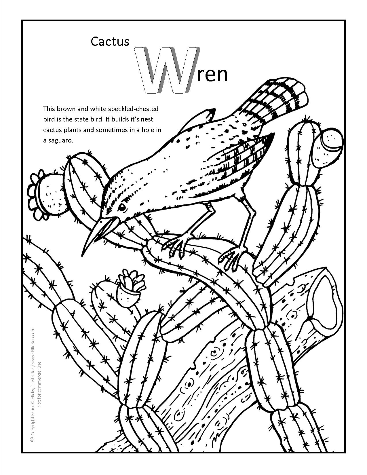 1275x1650 Cactus Wren Coloring Page