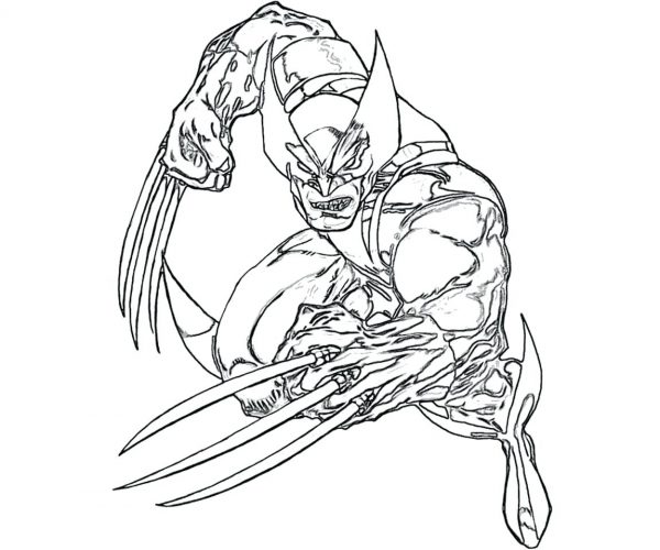 600x500 Coloring Pages X Men Coloring Pages Wolverine Online Flowers X