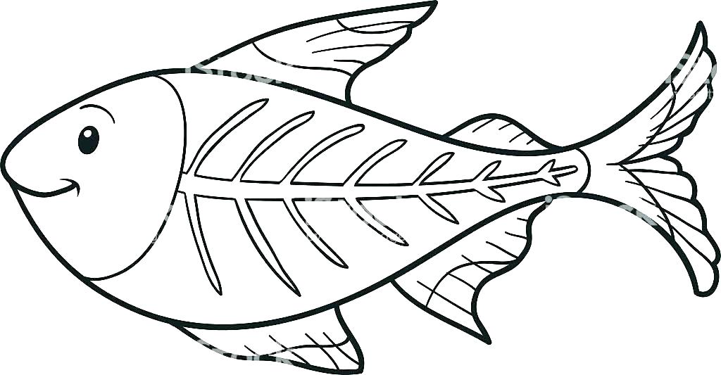 1024x533 Coloring Pictures Of Fish