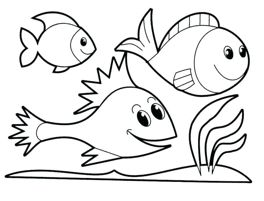 854x651 Fish Color Pages Ocean Fish Coloring Pages Fish Color Pages X Ray