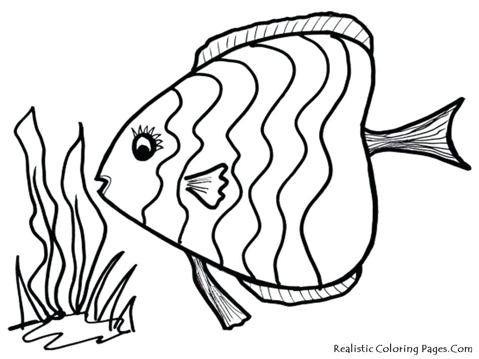 948x711 Fish Template Free Printable Documents Download Free X Ray Fish