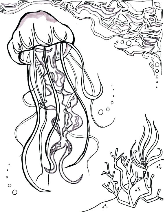 570x733 Jelly Fish Coloring Page Fish Color Pages X Ray Fish Coloring Page