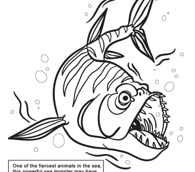 678x600 X Ray Coloring Sheet Coloring Trend Thumbnail Size Man And Robot