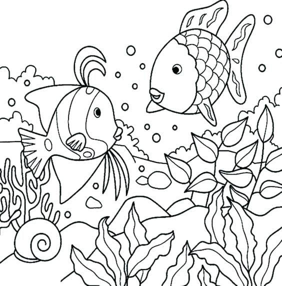 564x572 X Ray Fish Coloring Page Rainbow Fish Template To Color
