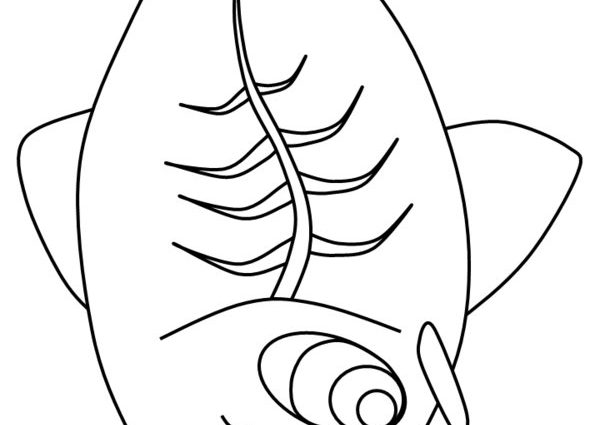 600x425 X Ray Fish Coloring Page Tetra Animal Coloring Pages X Ray Fish