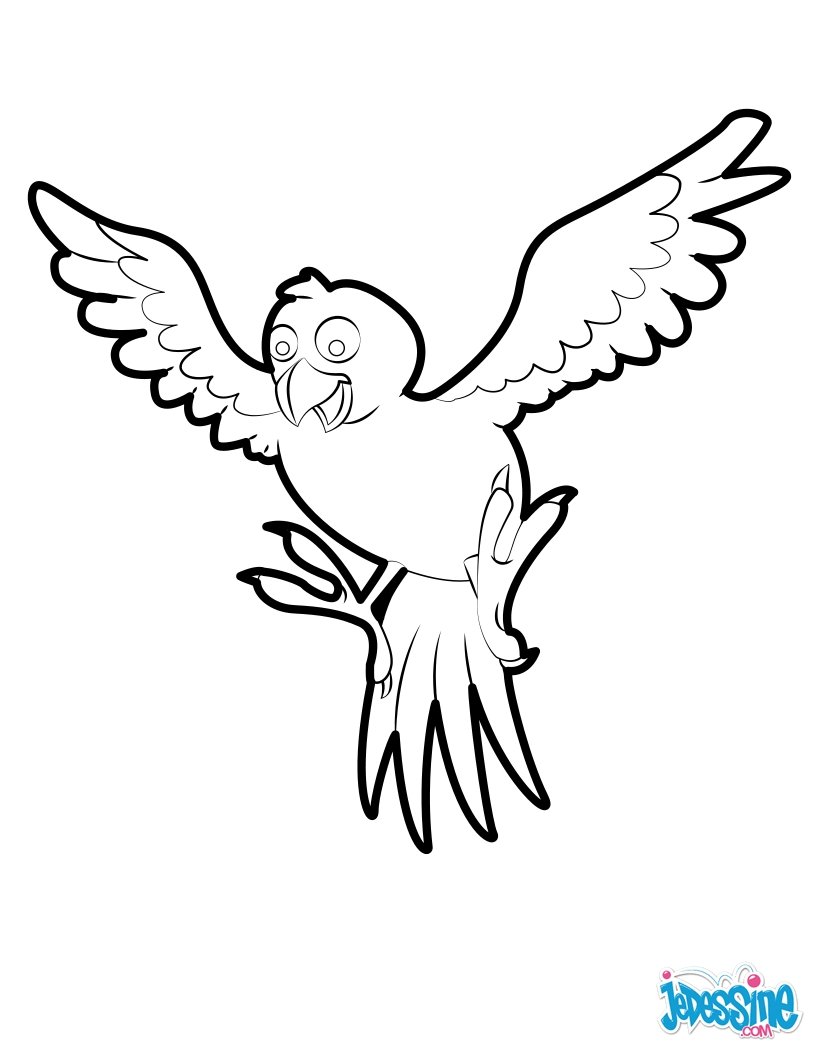 820x1060 Tropical Bird Coloring Pages