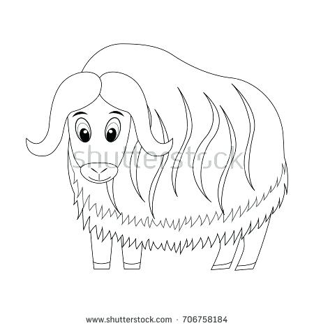 450x470 Ox Coloring Page Colorless Funny Cartoon Musk Ox Vector