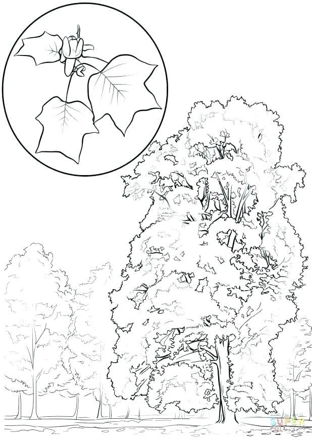 618x872 Yellow Coloring Page Color The Sun Yellow Coloring Page Sun Twisty