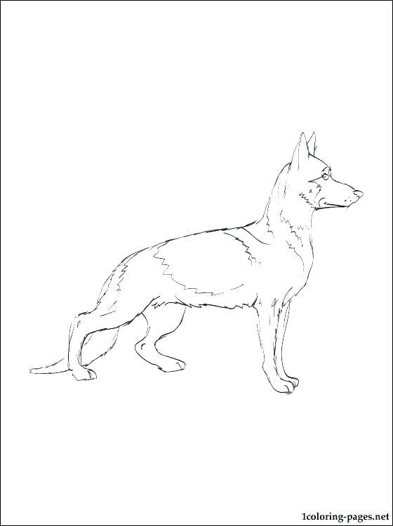560x750 Black Lab Coloring Pages Dog Mother And Puppy Free Black Lab