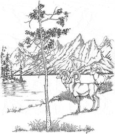236x274 Yellowstone National Park Coloring Page Coloring