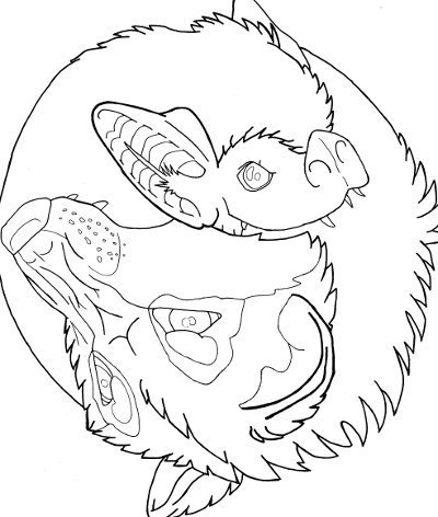 400x472 Wolf And Bat Yin Yang Coloring Page