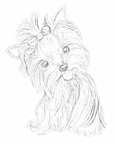 236x291 Teacup Yorkie Coloring Pages Coloring Pages Coloring Pages