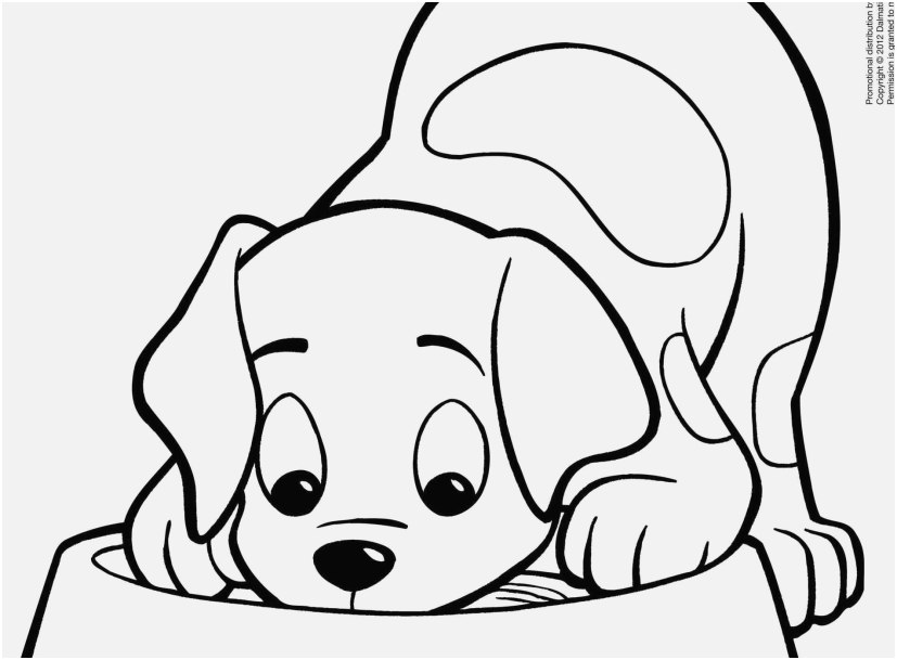 827x609 The Suitable Design Yorkie Coloring Pages Printable Brilliant