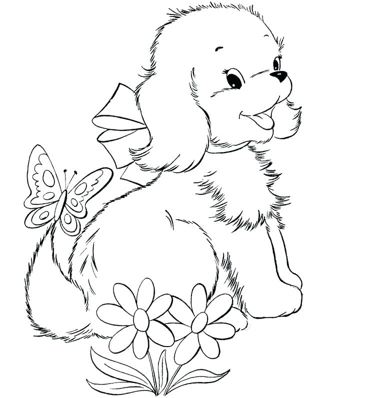 736x797 Yorkie Coloring Pages Coloring Pages Coloring Pages Puppy Cute