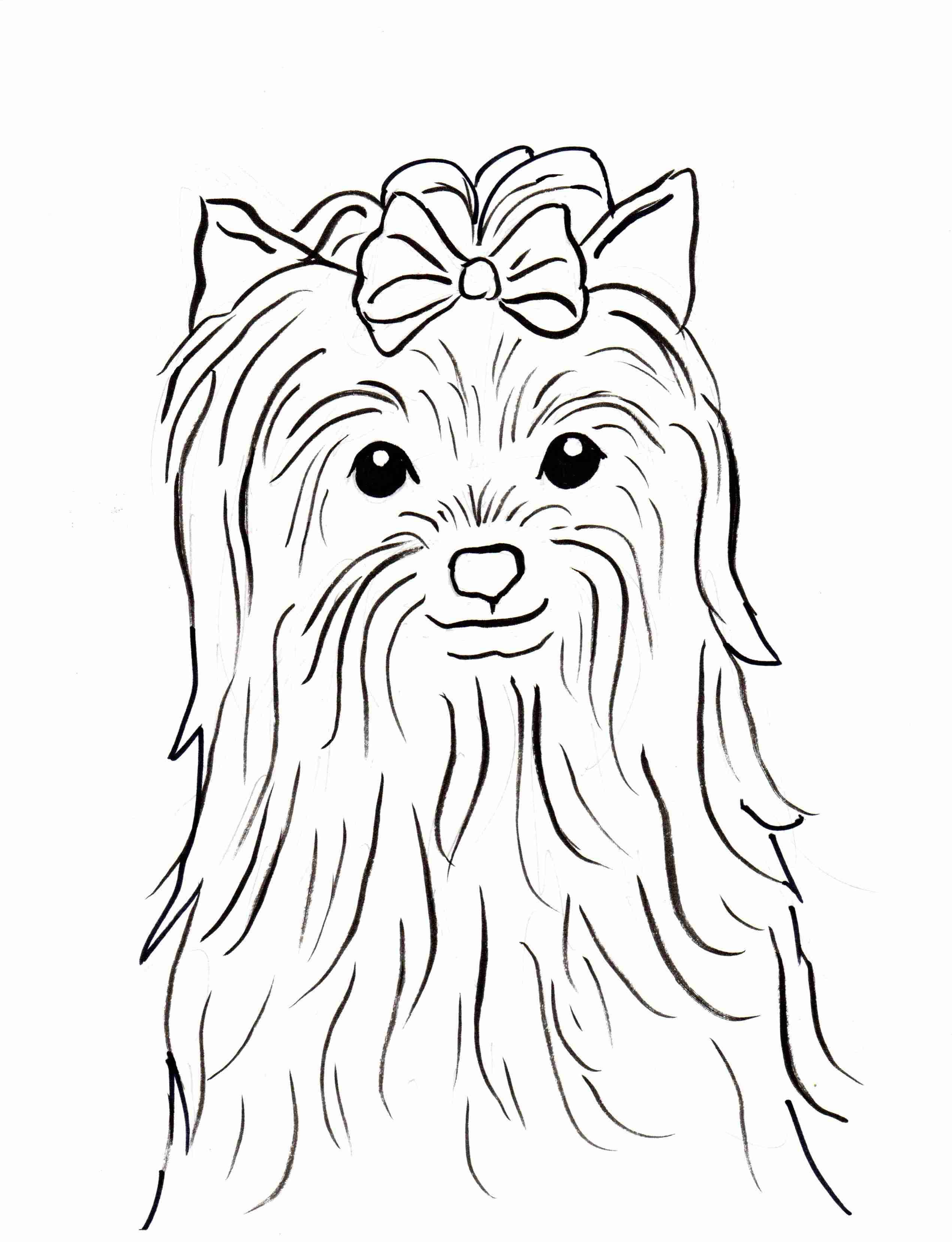 2540x3313 Yorkie Printable Coloring Pages Page Outstanding Yorkies