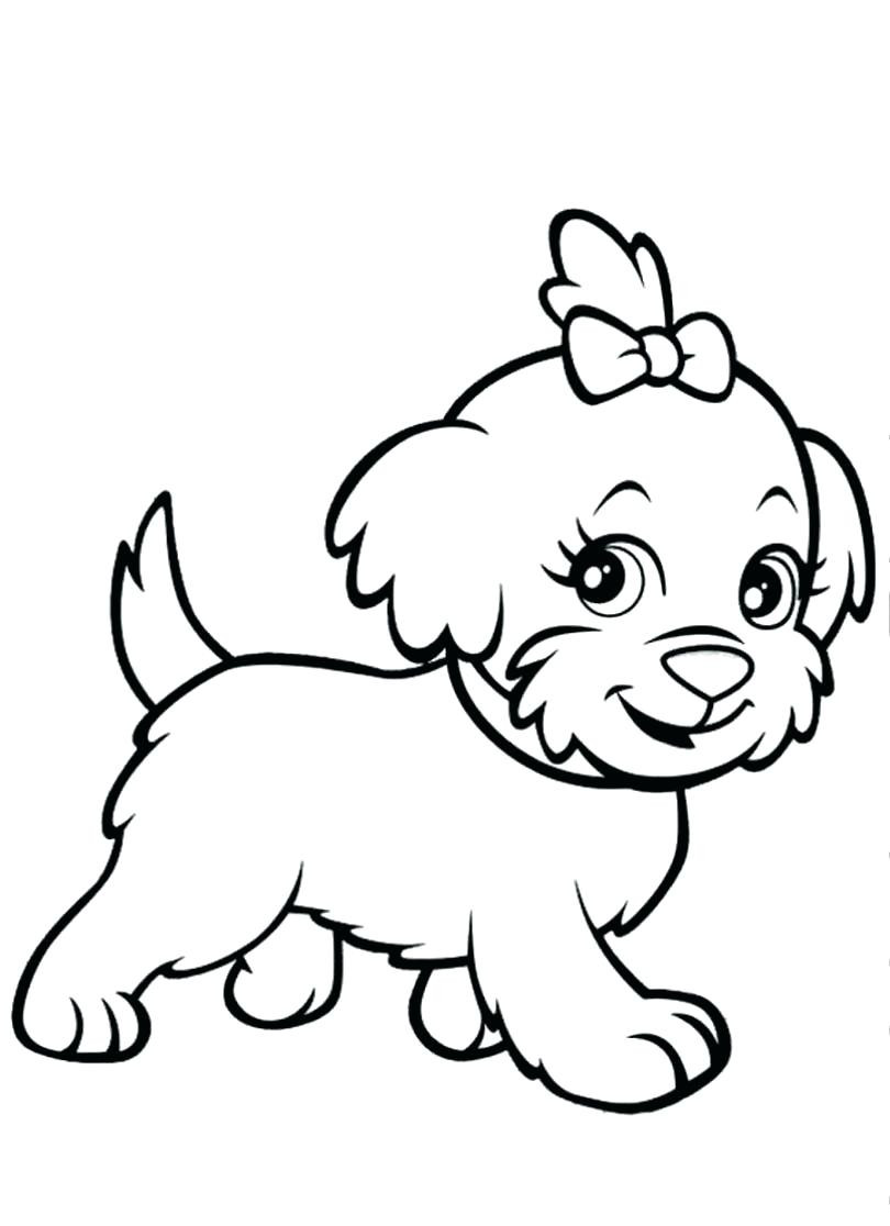 810x1116 Yorkshire Terrier Coloring Page Free Printable Pages Ripping