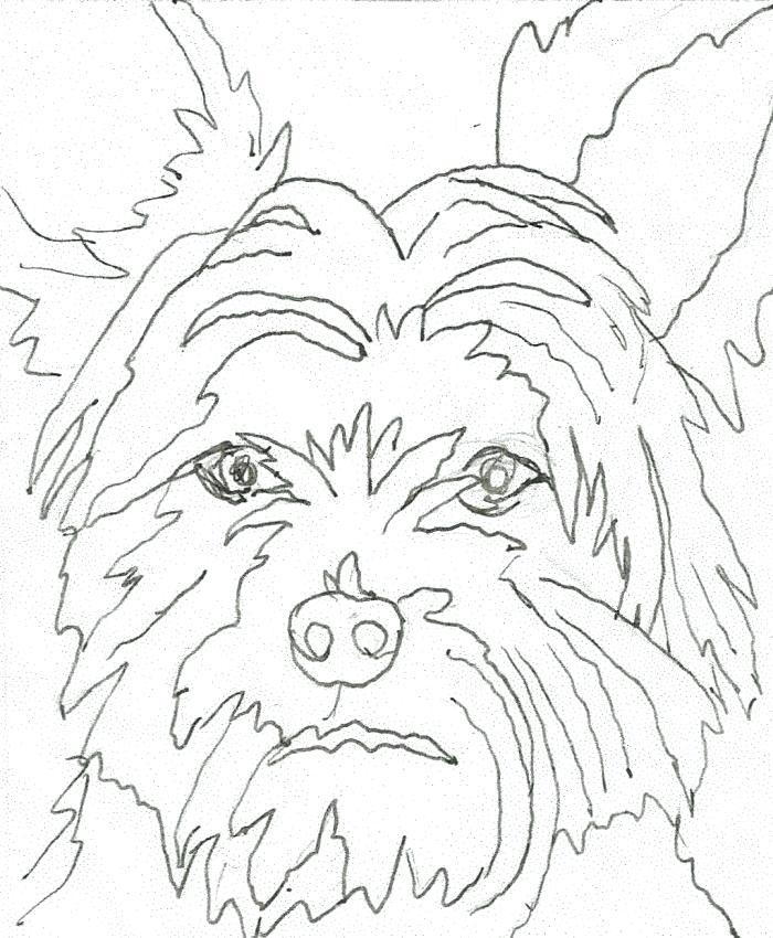 700x850 Yorkie Coloring Pages Coloring Pages Yorkie Puppy Coloring Pages