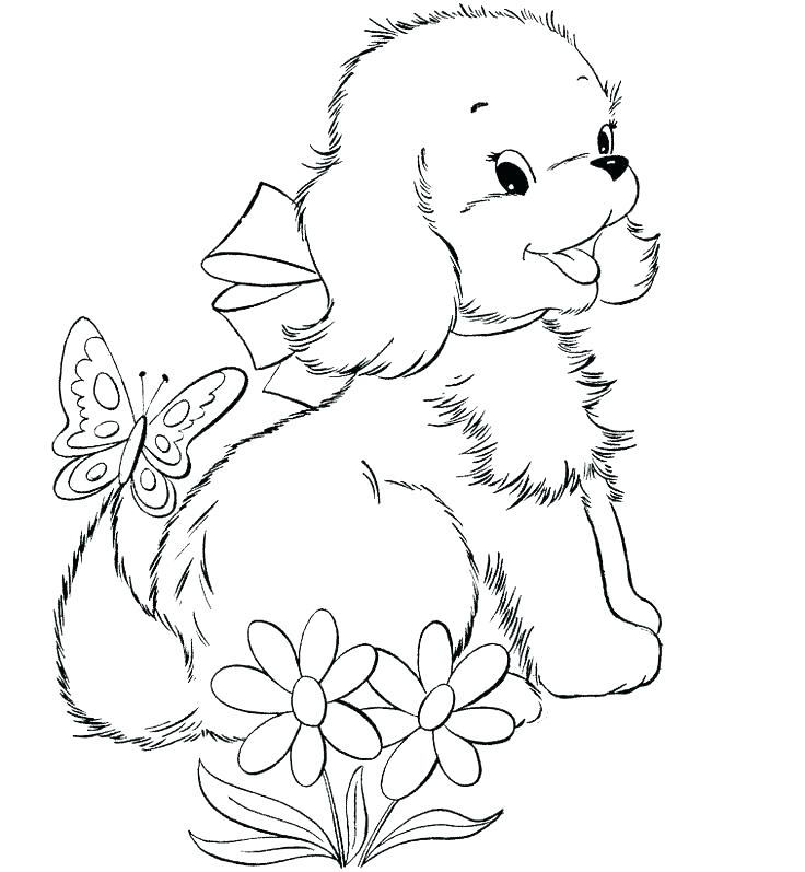 736x797 Terrier Coloring Page Free Printable Coloring Pages Terrier
