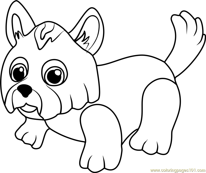 800x674 Yorkshire Terrier Coloring Page