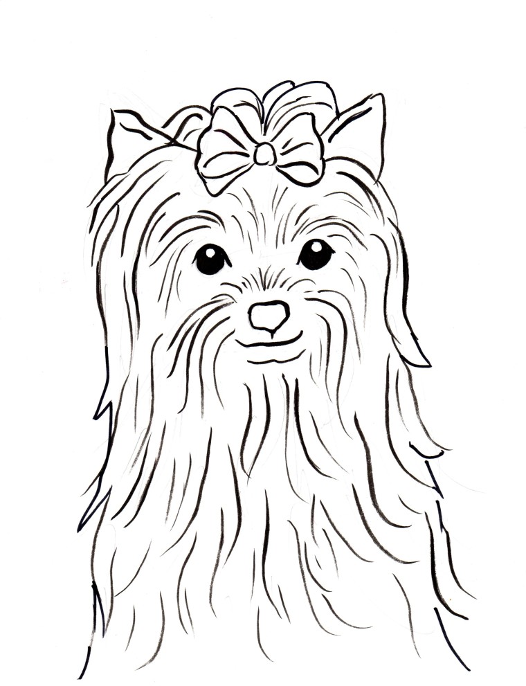 760x991 Yorkshire Terrier Coloring Page