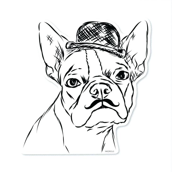 728x728 Yorkshire Terrier Colouring Pages Coloring Page With Wallpaper