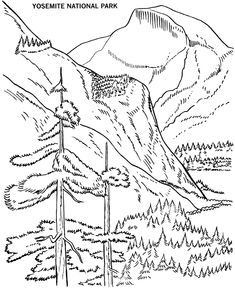 235x288 Free Printables For Sequoia National Park Arbor Day Coloring
