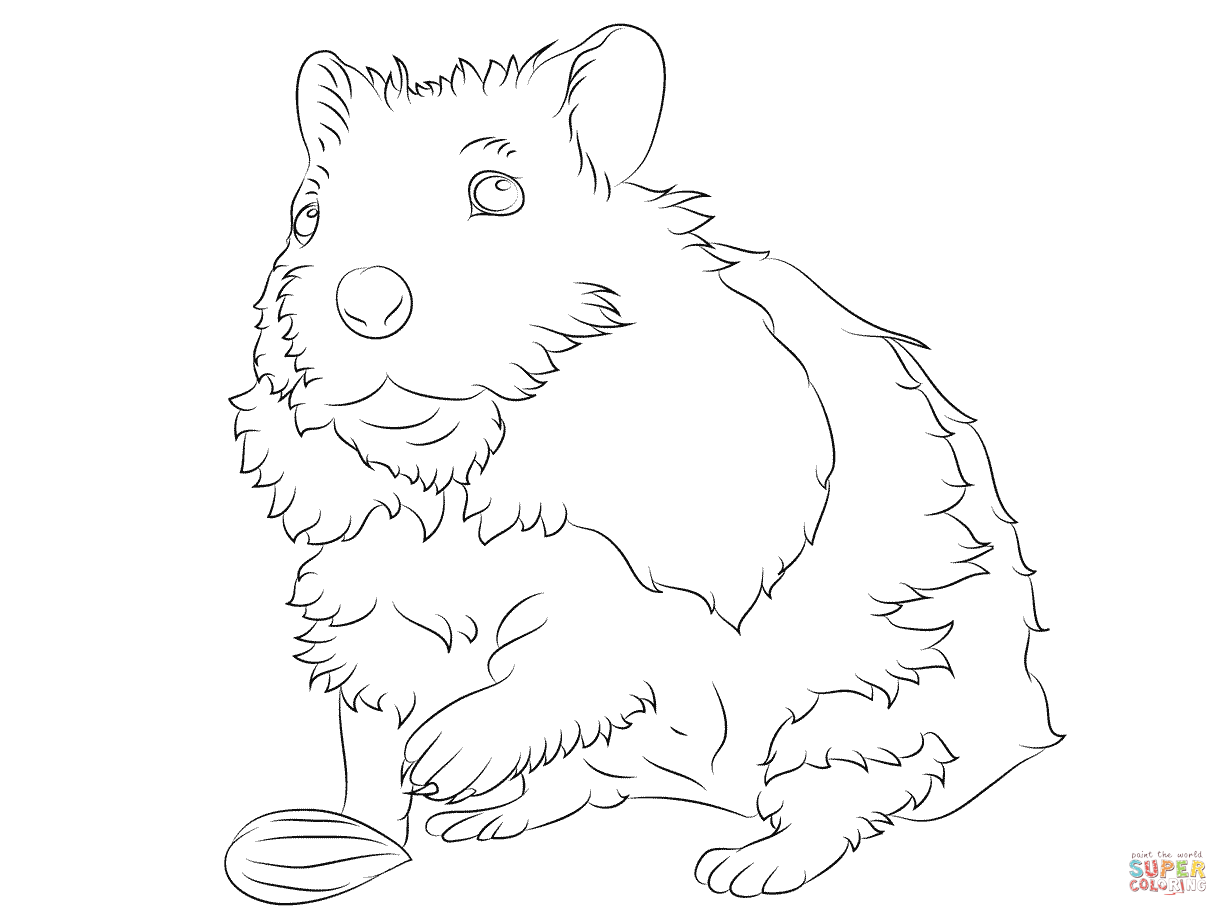 1228x916 Coloring Hamster