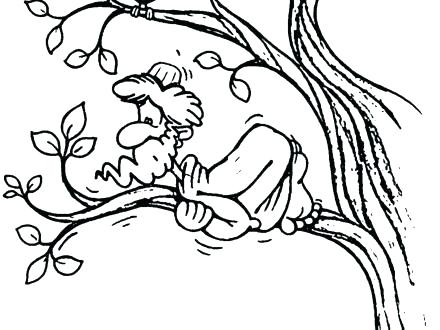 440x330 Zacchaeus Coloring Page Medium Size Of Coloring Page Sycamore Tree