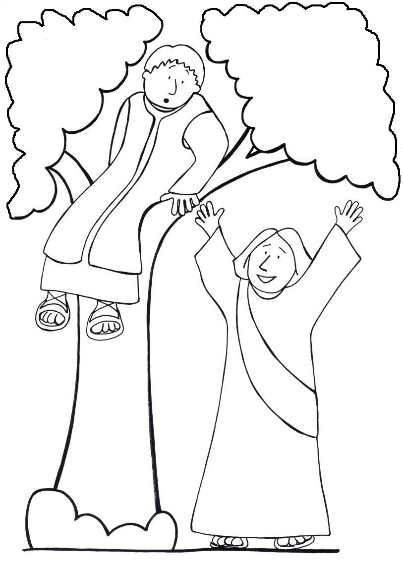 813x1144 Zacchaeus Free Coloring Pages